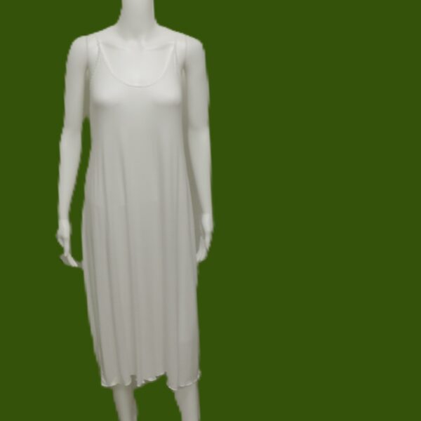dscn